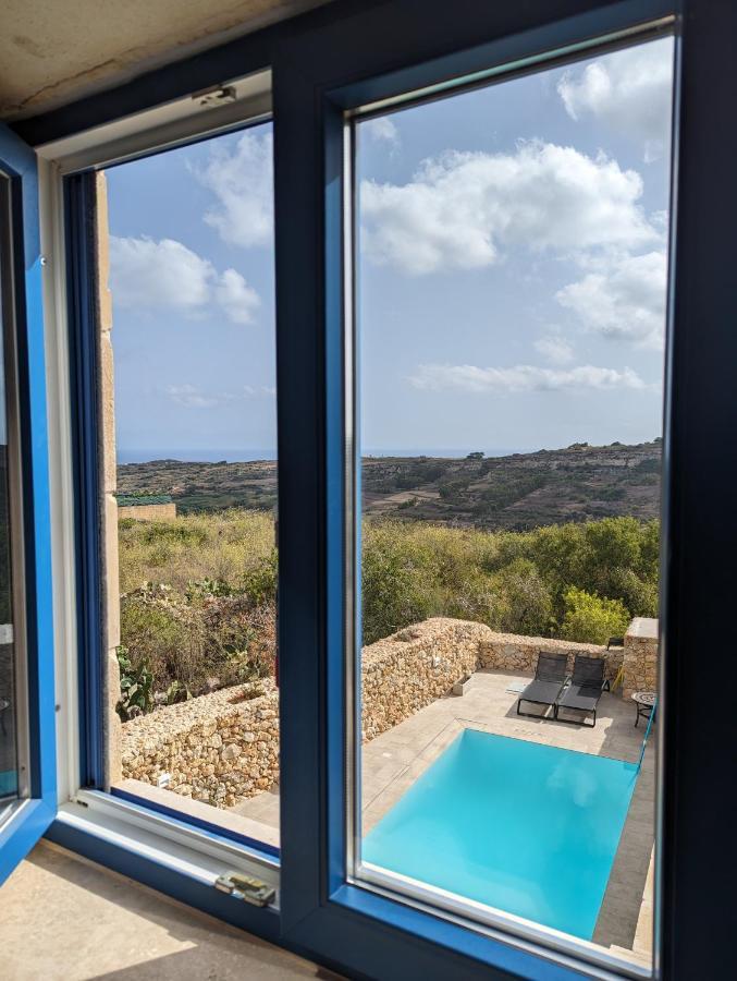 Sea Holly Gozo Nadur